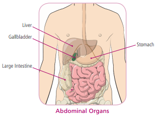 Cholecystectomy