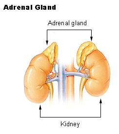 Adrenalectomy