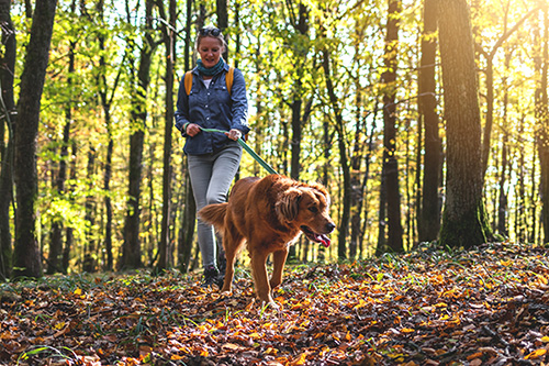 Winter Blues, Take a Hike!